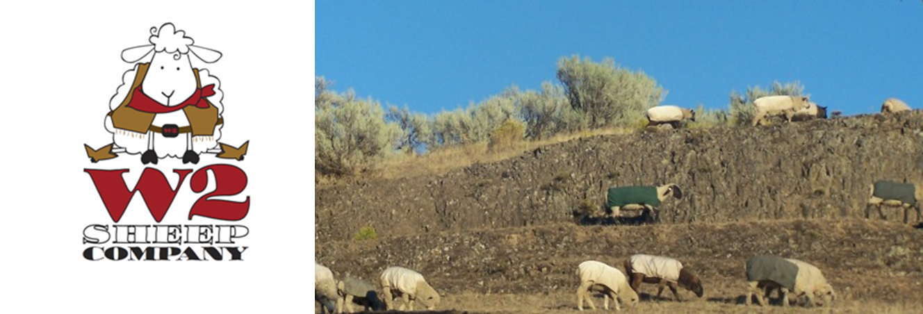 W2 Sheep Company Website Banner
